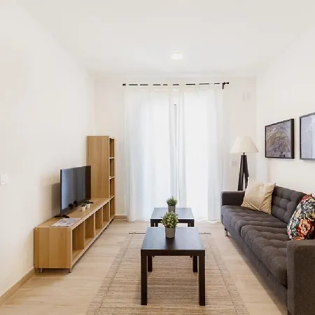 Moderno Urbano En Barrio Historico 2ºi Apartment